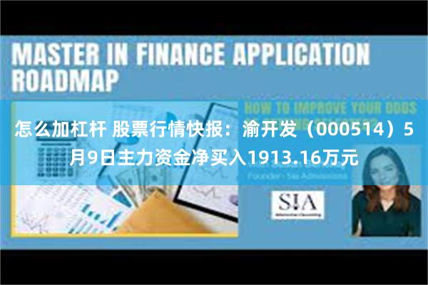 怎么加杠杆 股票行情快报：渝开发（000514）5月9日主力资金净买入1913.16万元